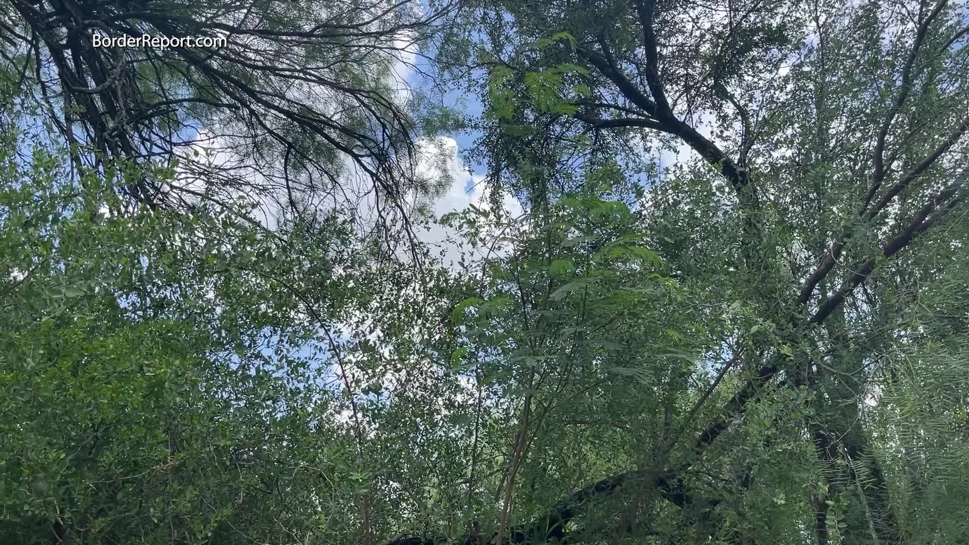 Residents in San Ygnacio upset over border wall land clearing