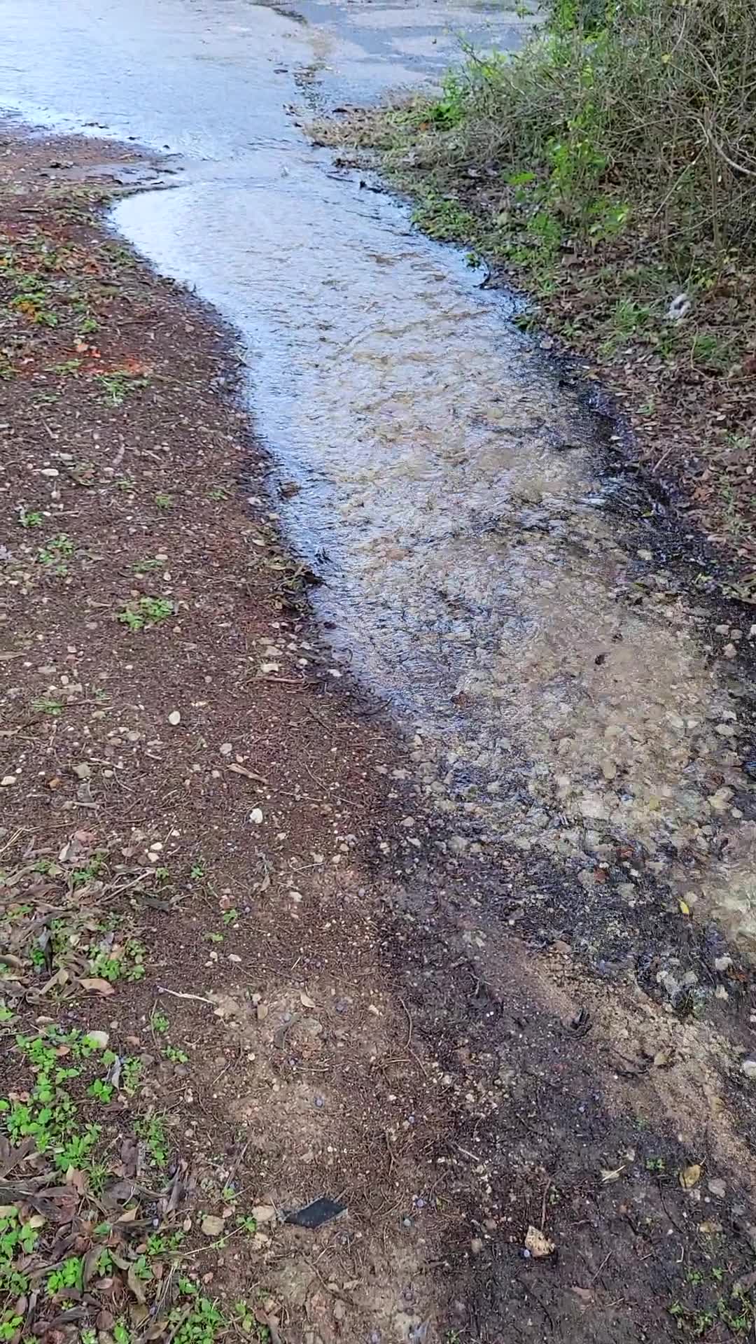 VIDEO Water overflows from a tank at a Travis County Water District 10