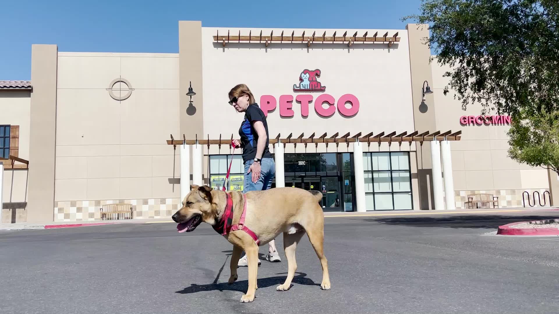 Animal Humane New Mexico visits Petco to celebrate Petco Love grant