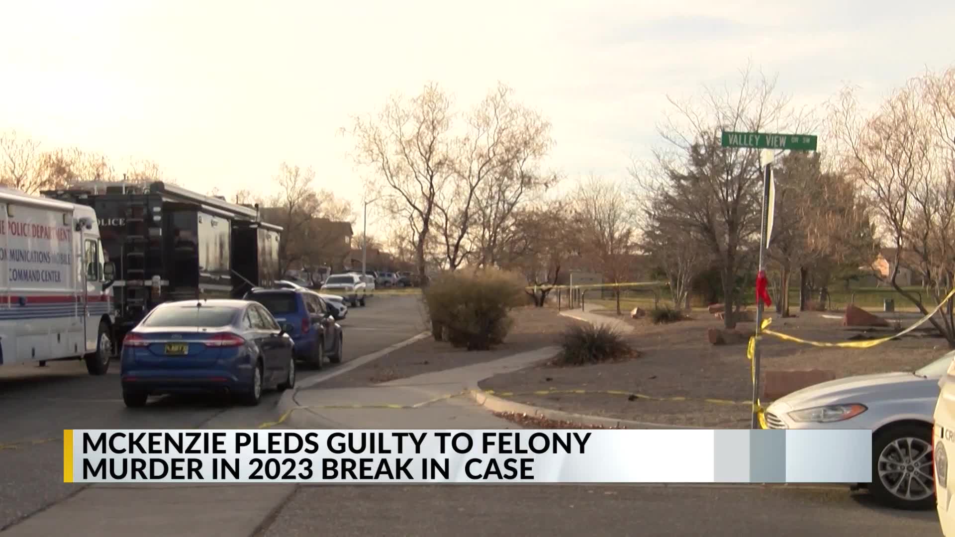 Teen pleads guilty for killing a man while trying to break into his car ...