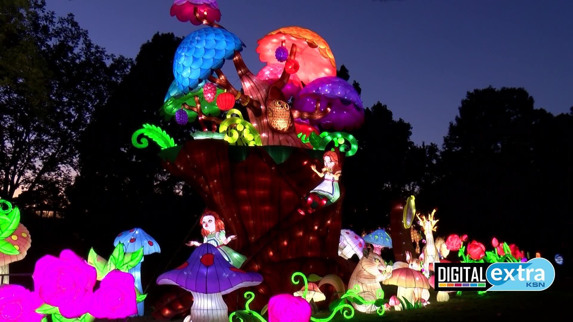 Wild Lights at Sedgwick County Zoo KSNTV