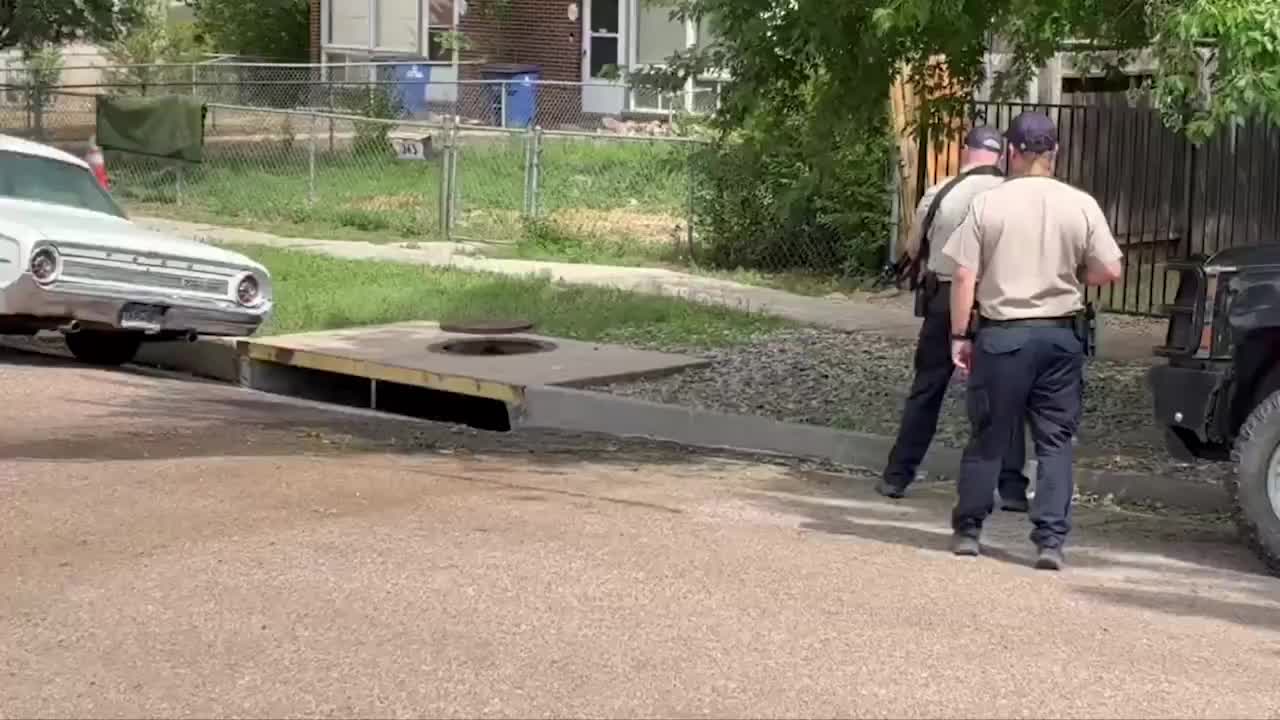 Bear rescued from storm drain in Ivywild neighborhood – FOX21 News Colorado