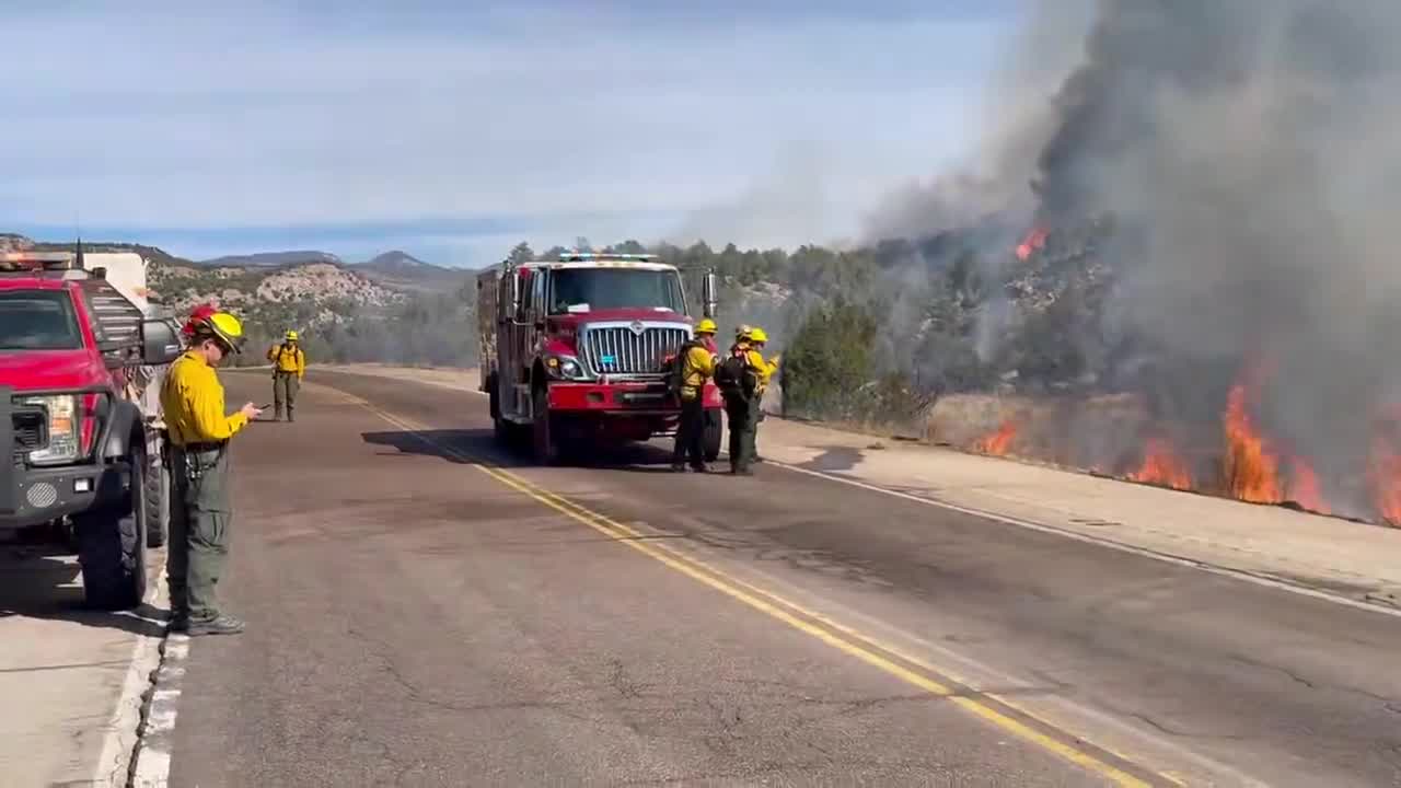 Fire activity increases off Hwy 115 as winds kick up – FOX21 News Colorado