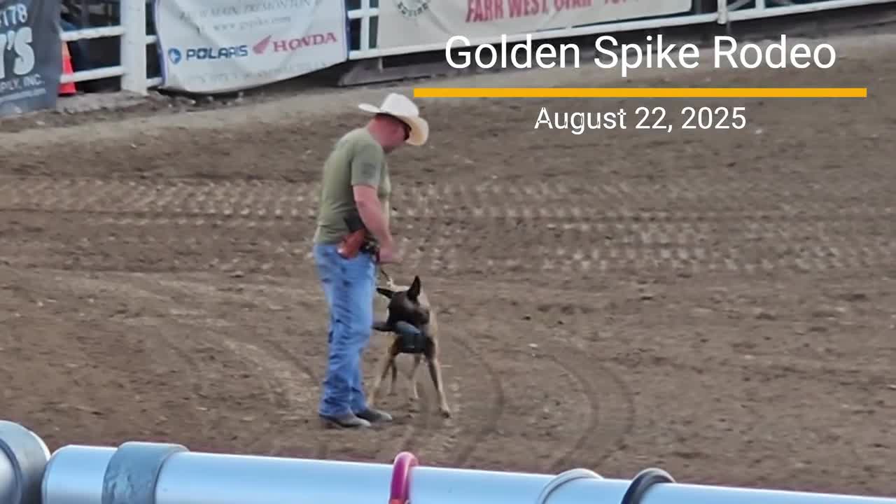 Tremonton shooting survivors Deputy Allred, K-9 Azula make surprise ...