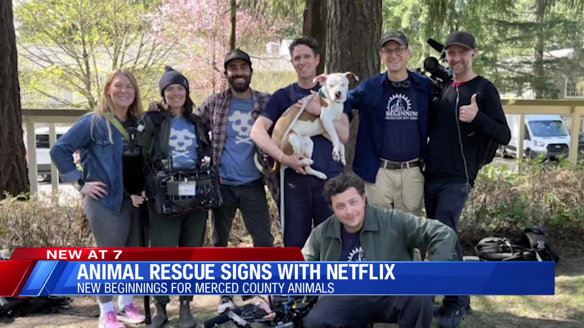 Merced animal rescue signs with Netflix – CBS47 and KSEE24 | News from ...