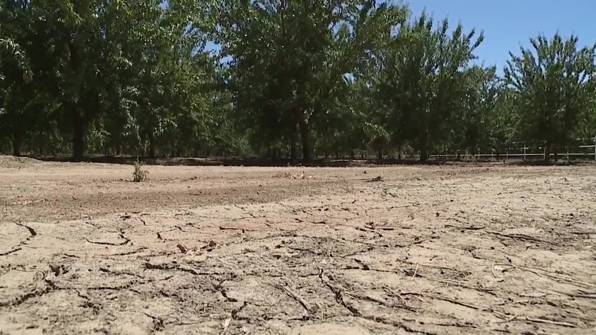 Is the drought over yet? New Central Valley data released