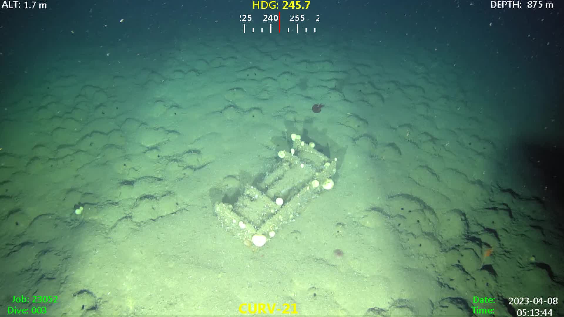 Munitions Box On Seafloor FOX31 Denver munitions-box-on-seafloor-fox31-denver
