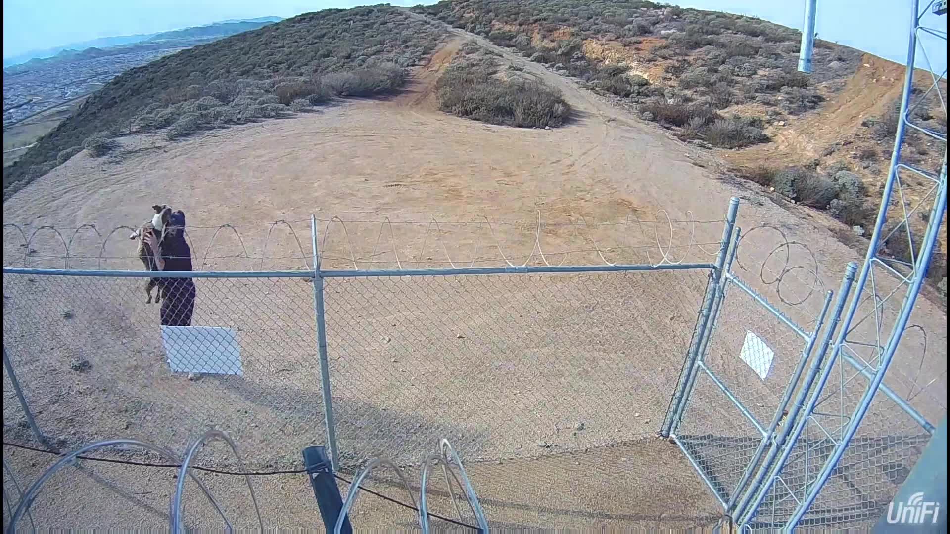 Man caught on video tossing dog over fence at Riverside County cell