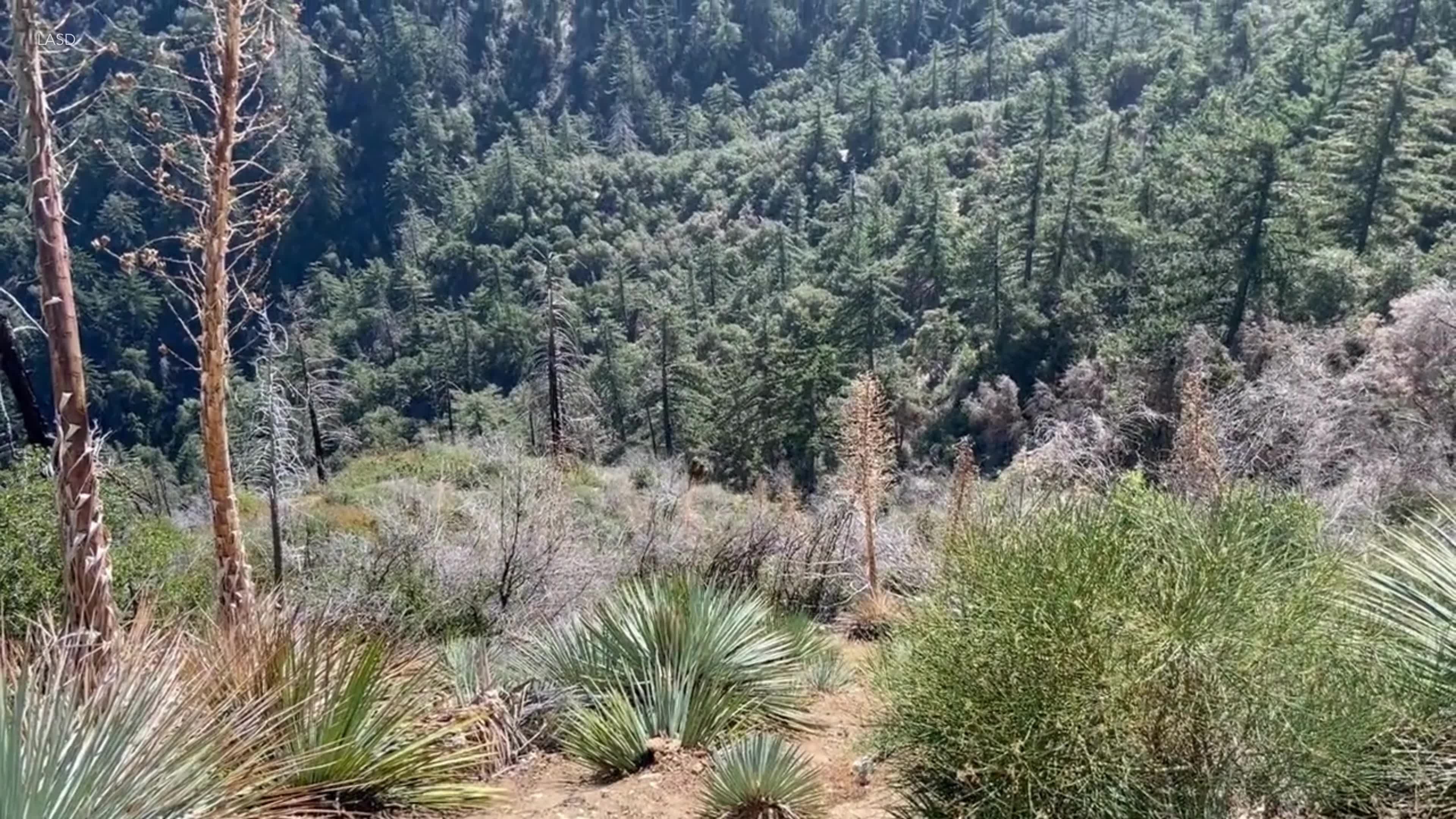 Missing Man Found Alive After Nine Days: His Wilderness Survival Tips - efi56et